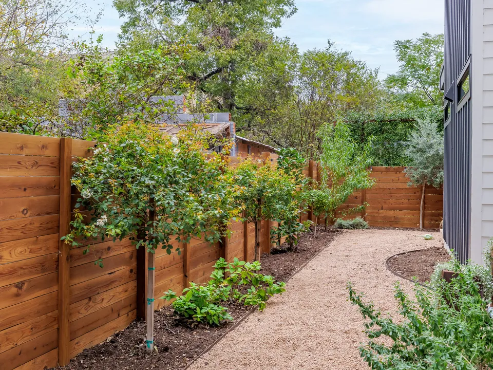 Side yard with a cedar fence, young trees and a gravel path